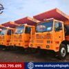 Hàng sẵn - Xe ben Shacman cabin đầu lệch 385HP động cơ Cummins